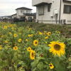 Отель Yamanobenomichi teku teku, фото 6