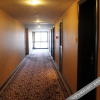 Отель Whlte Swan Hotel, фото 2