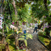 Отель Royal Train Garden Resort, фото 30