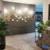 Отель Shanshui Qiyuan Boutique Hostel, фото 2