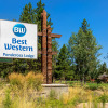 Отель Best Western Ponderosa Lodge, фото 34