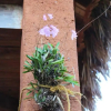Отель House With 3 Bedrooms in Las Galeras, With Wonderful sea View, Enclosed Garden and Wifi - 200 m From, фото 5