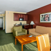 Отель Holiday Inn & Suites Clearwater Beach, an IHG Hotel, фото 6
