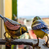 Отель Donna Costanza - Stylish and Panoramic Flat, фото 16