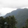 Отель Coonoor Mountain Stay by Lexstays, фото 16