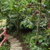 Отель Coffee Adventures By La Palma y El Tucan, фото 22