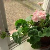 Отель Sannagård B&B, фото 9