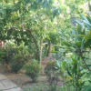 Отель Suanphao Guesthouse, фото 7