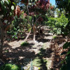 Отель Villa Extra Lujo, фото 6