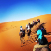 Отель Trans Sahara, фото 23