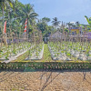 Отель SPOT ON 91214 Desa Wisata Pandean, фото 18