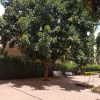 Отель Ouagadougou, фото 11