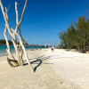 Отель Longboat Key Cedars Beach House-pet Friendly-2 Minute To The Beach, фото 23