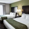 Отель Comfort Suites West Indianapolis - Brownsburg, фото 3