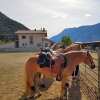 Отель Margit's Ranch Urlaub am Pferdehof, фото 14