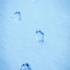 Отель Barefoot Villas Cabin 1 Beaver w/ Hot tub, фото 17