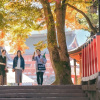 Отель OMO5 Kyoto Gion by Hoshino Resorts, фото 37