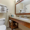 Отель Comfort Inn & Suites Clemson - University Area, фото 9