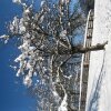 Отель Einberghof, фото 18