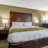 Отель Comfort Inn Near Barefoot Landing, фото 8