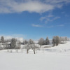 Отель Landgasthof zur Post, фото 15