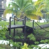 Отель Aunchaleena Beach Front Resort, фото 16