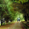 Отель Hillon Resorts, фото 12