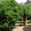 Отель Sterkfontein Heritage Lodge, фото 44