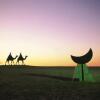 Отель camel hotel resort, фото 26