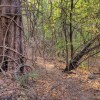 Отель Palo Verde Biological Station, фото 11