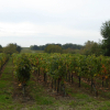 Отель La Vigneraie de Laura, фото 14