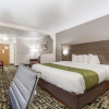 Отель Quality Inn & Suites, фото 34