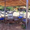 Отель Mango Drift Lodge - Hostel, фото 12