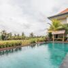 Отель Artini Bisma Ubud Hotel, фото 18