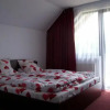 Отель Pensiunea Mara, фото 4