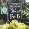 Отель Blarney Vale B&B, фото 15