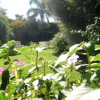 Отель Altos de Agronomía, фото 7