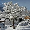 Отель Chalet Aaekirsannaa South-Facing Free-standing Chalet, фото 6