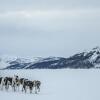 Отель Snowhotel Kirkenes, фото 25