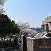Отель 平楽園弐番館２階, фото 7