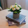 Отель Xinghumeichen Hotel, фото 8
