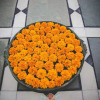 Отель The Raj Palace, фото 11