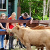 Отель Kur Cow farm, фото 10