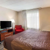 Отель Rodeway Inn & Suites Stroudsburg - Poconos, фото 20