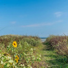 Отель Cute Beach Bungalow Walk to the Beach, фото 17