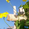 Отель Biyun Ancient Village Guest House, фото 10