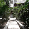 Отель Mangga Lodge, фото 3