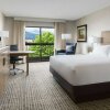 Отель DoubleTree by Hilton Colorado Springs, фото 22