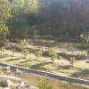 Отель Rio Resort - The Nature Spa Resort, фото 2