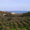 Отель Villa Dimosthenis, фото 17